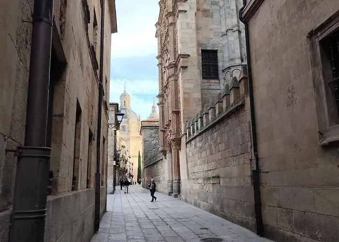 Exclusivo En Casco Antiguo 公寓 萨拉曼卡